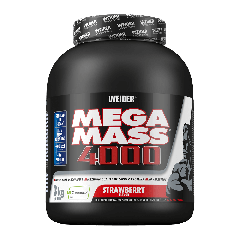 Mega Mass 4000 von Weider