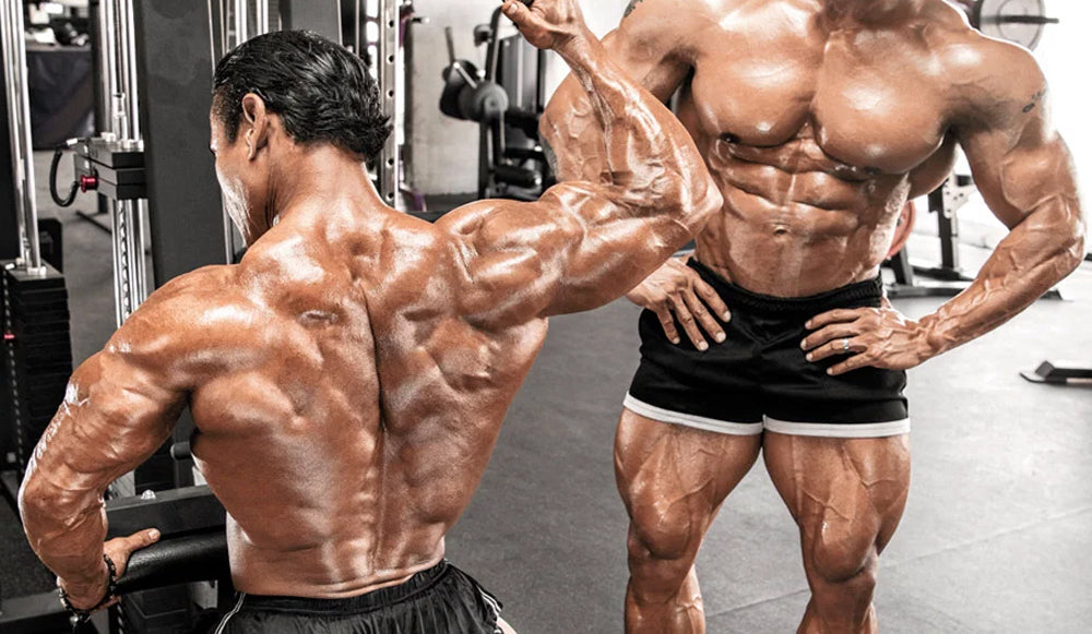 El entrenamiento de espalda: ¿cómo desarrollarlo?