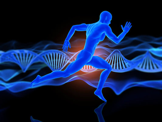 Conexión Mente-Músculos, ¿cuándo y cómo?