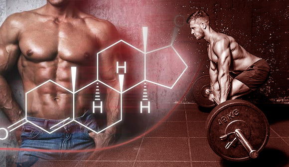 Incrementa tu testosterona entrenando piernas