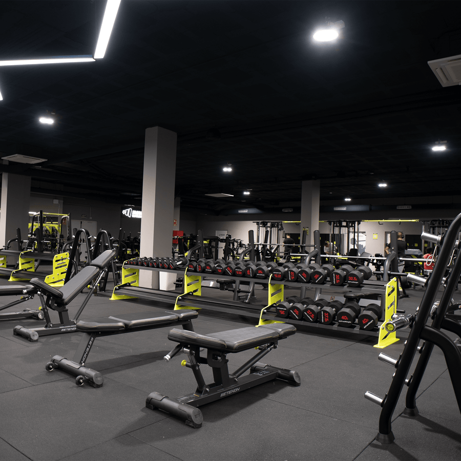 Fitness und Körperästhetik