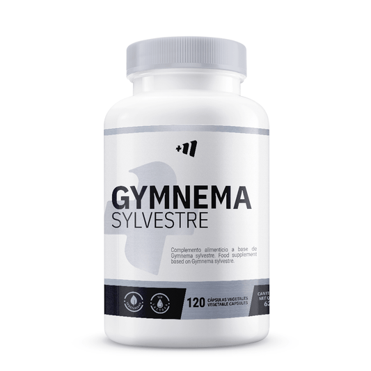 Gymnema Sylvestre 600mg der Marke Masmusculo Supplements in Masmusculo Supplements