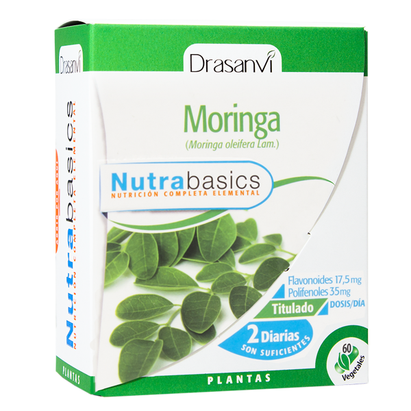 Moringa aus Drasanvi - Drasanvi 0