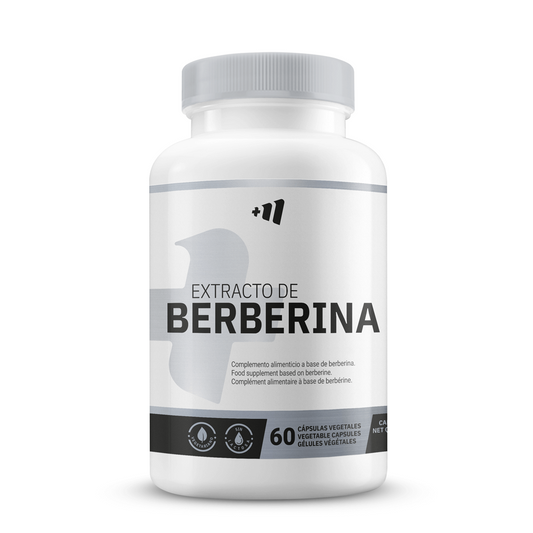 Berberin 970 mg von Masmusculo Supplements der Marke Masmusculo Supplements in Kreislaufsystem