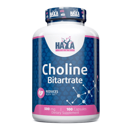 Cholinbitartrat 500 mg von Haya Labs der Marke Haya Labs in Leberschutzmittel