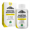 Gastro Support envase de 60 cápsulas del fabricante VitoBest (Digestivos)