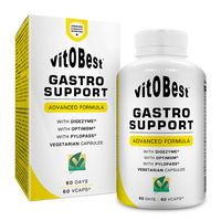 Gastro Support envase de 60 cápsulas del fabricante VitoBest (Digestivos)