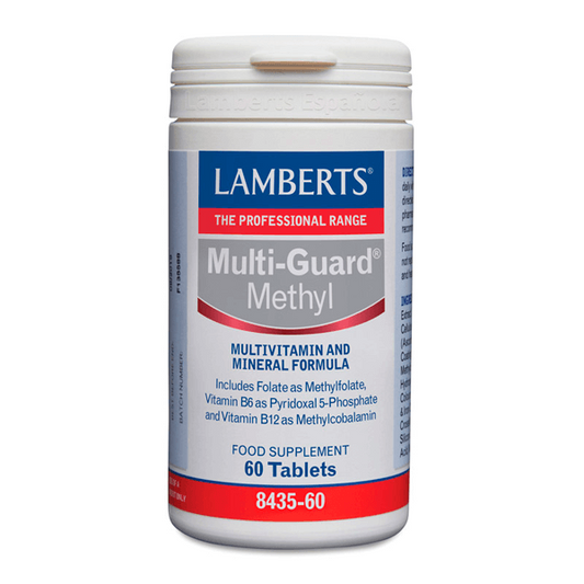 Lamberts Multi-Guard Methyl der Marke Lamberts in Multivitamin-Komplexe