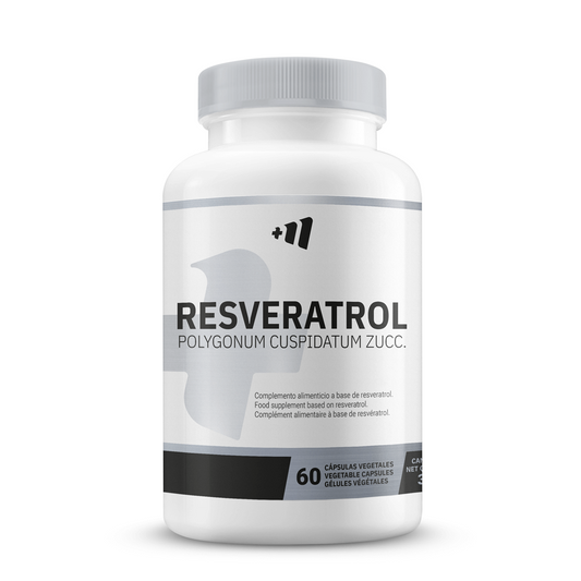 Resveratrol 255mg von Masmusculo Supplements der Marke Masmusculo Supplements in Antioxidantien