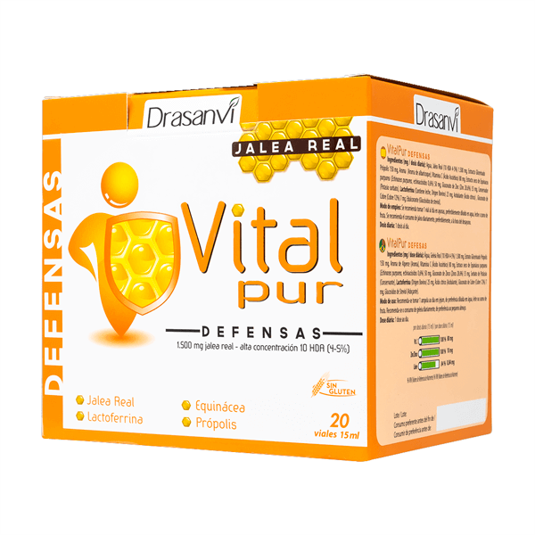 Vitalpur-Verteidigungsanlagen von Drasanvi - Drasanvi 0