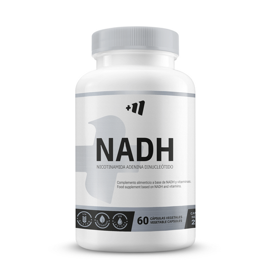 NADH Panmol® 100mg von Masmusculo Supplements der Marke Masmusculo Supplements in Allgemeine Verbesserung