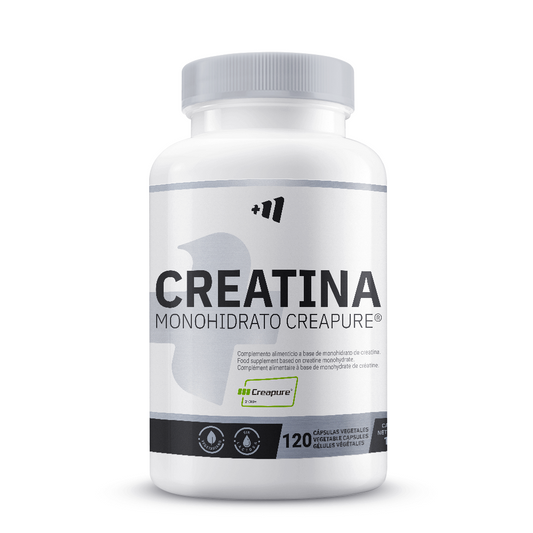 Kreatinmonohydrat (Creapure®) in Masmusculo-Kapseln der Marke Masmusculo Supplements in Creatine (Bestseller)