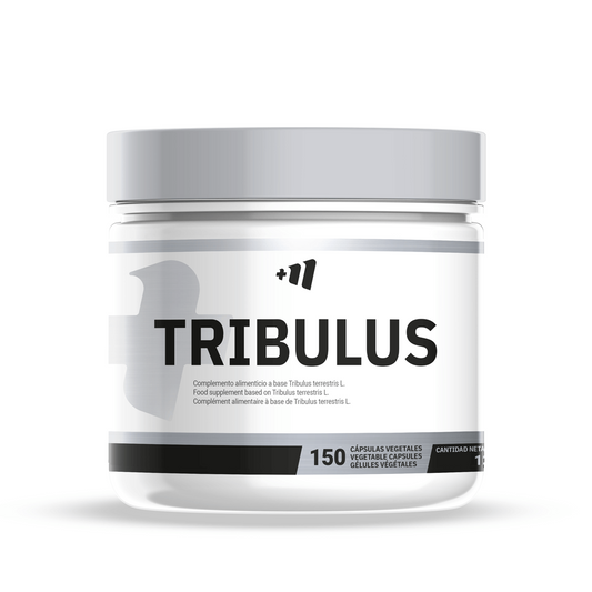 Tribulus Terrestris 750mg von Masmusculo Supplements der Marke Masmusculo Supplements in Tribulus