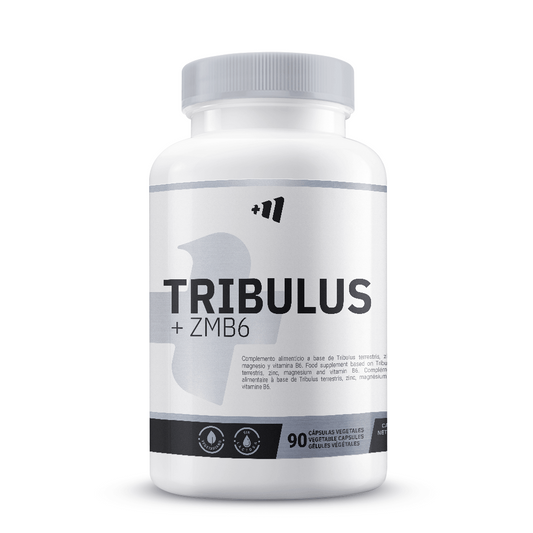 Tribulus + ZMA von Masmusculo Supplements der Marke Masmusculo Supplements in Testosteron-Komplexe