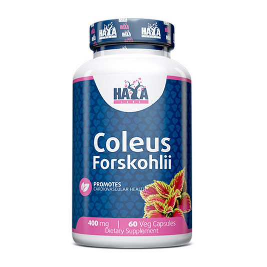 Coleus Forskohlii von Haya Labs der Marke Haya Labs in Andere Brenner