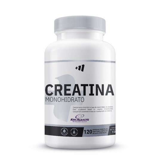 Kreatin Kre-Alkalyn® 1500mg von Masmusculo Supplements der Marke Masmusculo Supplements in Kre-Alkalyn