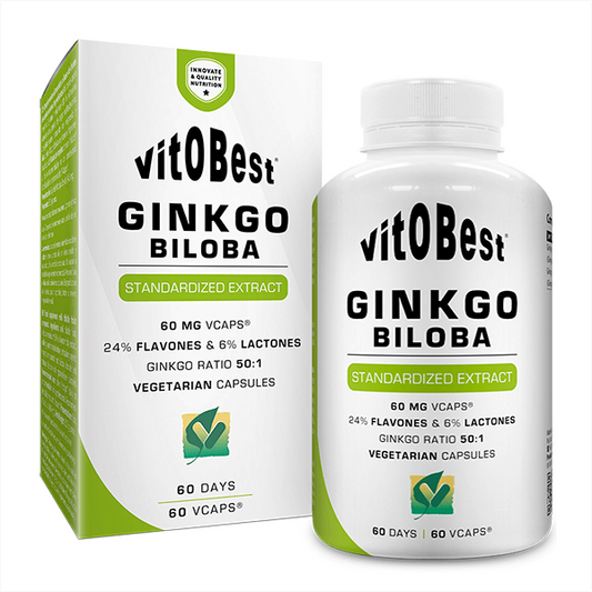 Ginkgo Biloba von Vitobest der Marke VitOBest in Kreislaufsystem
