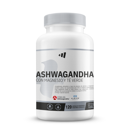 Ashwagandha KSM-666® mit Albion® Magnesium und Masmusculo Grüntee der Marke Masmusculo Supplements in Gesundheit und Erholung