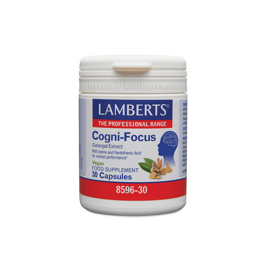 Lamberts' Kognitionsfokus der Marke Lamberts in Vor dem Training