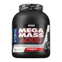 Mega Mass 4000 von Weider