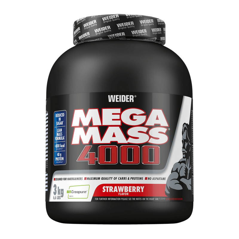 Mega Mass 4000 von Weider - Weider 2