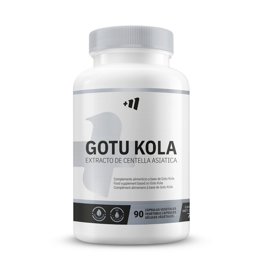 Gotu Kola 500mg von Masmusculo Supplements der Marke Masmusculo Supplements in Brenner