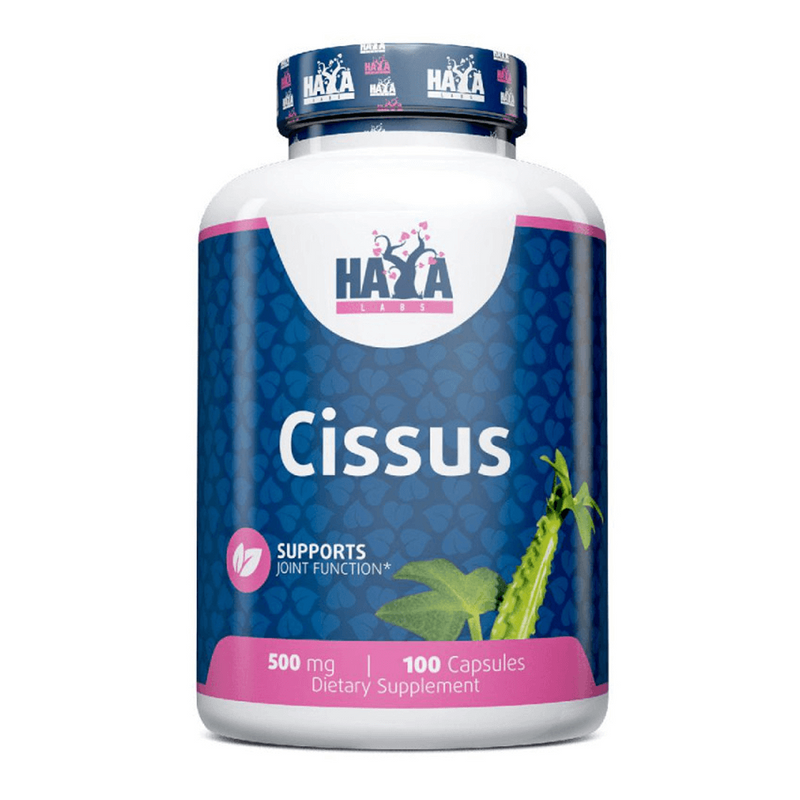 Cissus 500mg von Haya Labs - Haya Labs 0