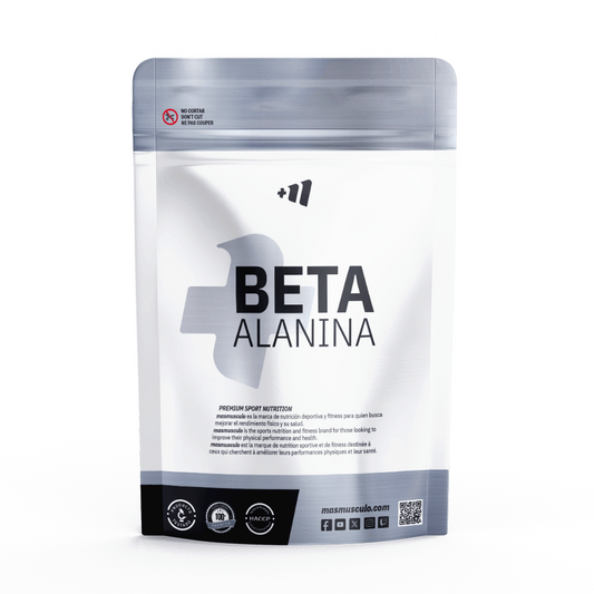Beta-Alanin-Pulver von Masmusculo Supplements der Marke Masmusculo Supplements in Sporternährung