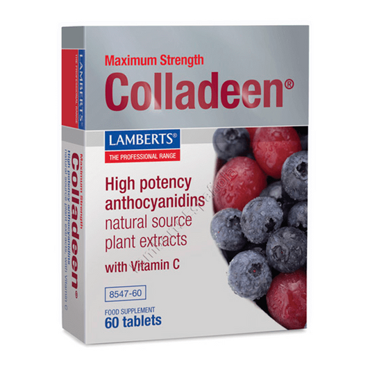 Lamberts Maximum Power Colladeen der Marke Lamberts in Antioxidantien