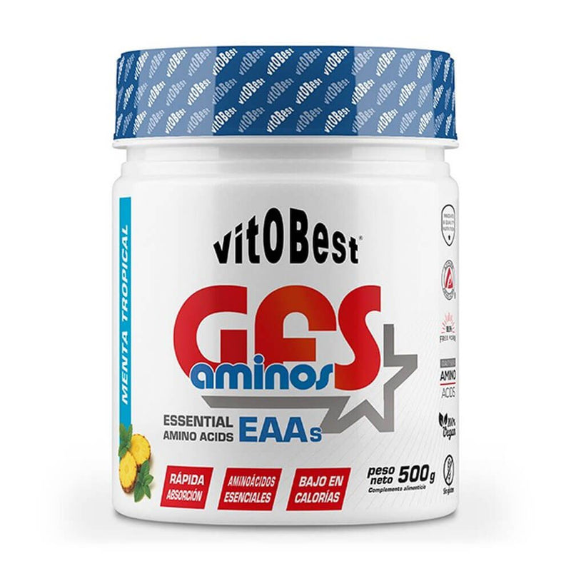 GFS Aminos von Vitobest - VitOBest 6