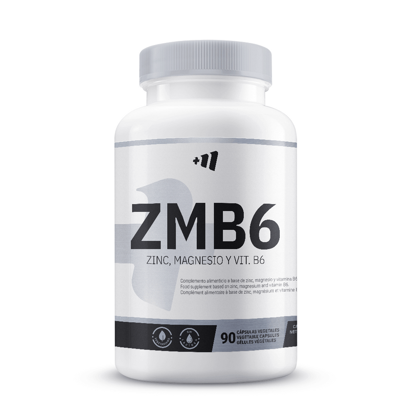 ZMB6 (Zink, Magnesium und Vitamin B6) von Masmusculo Supplements - Masmusculo Supplements 0